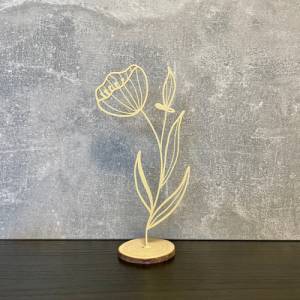 3D-Dekoblume #9 / Trockenblumen / Blumenwiese - über 50 Farben Bild 1