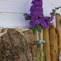 Vase, Wohndeko, Wanddeko, Blumendekoration aus verschiedenem Treibholz, Hängeblumenvase Bild 3