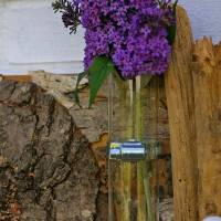 Vase, Wohndeko, Wanddeko, Blumendekoration aus verschiedenem Treibholz, Hängeblumenvase Bild 4