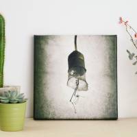 Glühbirne in einem verlassenen Haus Leinwand Fotografie Wandgestaltung 20 x 20 cm Bild 1