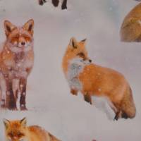Jersey mit Fuchs Füchsen im Schnee 50 x 160 cm Nähen Stoff Digitaldruck Bild 5