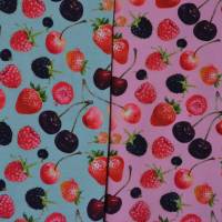 Jersey mit Beeren Kirschen Himbeeren Erdbeeren 50 x 150 cm Nähen Stoff Bild 2