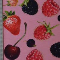 Jersey mit Beeren Kirschen Himbeeren Erdbeeren 50 x 150 cm Nähen Stoff Bild 5
