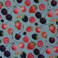Jersey mit Beeren Kirschen Himbeeren Erdbeeren 50 x 150 cm Nähen Stoff Bild 6