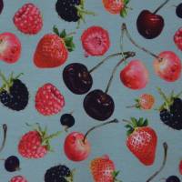 Jersey mit Beeren Kirschen Himbeeren Erdbeeren 50 x 150 cm Nähen Stoff Bild 7
