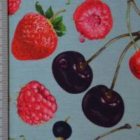 Jersey mit Beeren Kirschen Himbeeren Erdbeeren 50 x 150 cm Nähen Stoff Bild 8