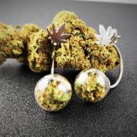 Ohrringe, Ohrhänger, Doppelohrstecker,Hanfblüten, Cannabis Schmuck, Geschenke für Stoner, 420 Bild 1