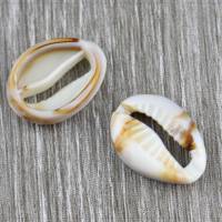 8 Acryl Perlen Anhänger Kauri Muschel Meer maritim Schmuck DIY kein Loch 18x12mm Bild 2