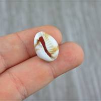 8 Acryl Perlen Anhänger Kauri Muschel Meer maritim Schmuck DIY kein Loch 18x12mm Bild 3