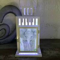 LED Laterne - Elefant Bild 2