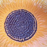 Keramikreibe Knoblauch- Ingwerreibe Dippschälchen Sonnenblume handgefertigt Bild 4