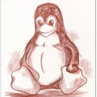 Klausewitz Original Rötelzeichnung auf Zeichenkarton Linux Tux Pinguin  - 24 x 32 cm Bild 1