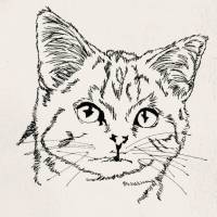 Katze im Doodle Stil, Zauberhafte Stickdatei von Stickzebra Bild 4