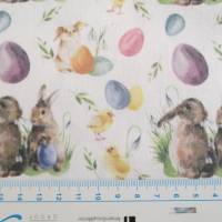 Baumwolle Digitaldruck Ostern Eier Hase offwhite Oeko-Tex Standard 100(1m/13,-€) Bild 3