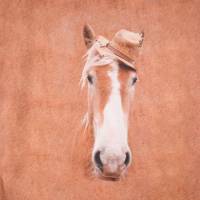Jersey Panel Pferd mit Strohhut Pony braun 65 x 145  cm Nähen Elastisch Stoff Bild 1