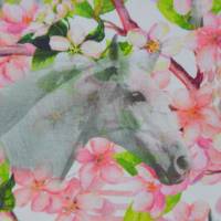 Jersey mit weißen Pferden und Apfelblüten Stenzo Digitaldruck 50 x 150 cm Bild 2