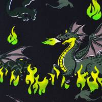 French Terry Sommersweat Mystic Dragon by Steinbeck 50 x 155 cm Nähen Drachen Bild 4
