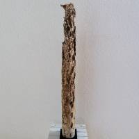 Treibholz/Schwemmholz  Skulptur/Stele/Statue Bohrmuschel Austern Bild 1