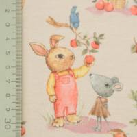 French Terry Sommersweat  lachs-beige mit Kaninchen Apple Garden 50 x 150 cm Nähen  ♕ Bild 4