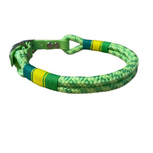 Hundehalsband, Tauhalsband, grün, gelb, Marke AlsterStruppi, mit Biothane (US-Patent) und Schnalle verstellbar