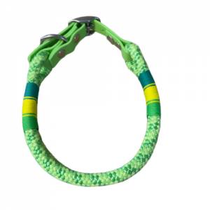 Hundehalsband, Tauhalsband, grün, gelb, Marke AlsterStruppi, mit Biothane (US-Patent) und Schnalle verstellbar Bild 4