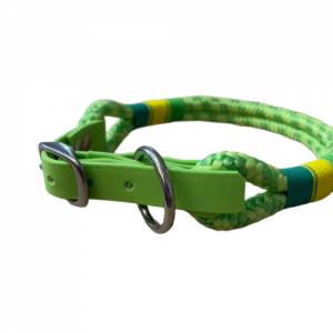 Hundehalsband, Tauhalsband, grün, gelb, Marke AlsterStruppi, mit Biothane (US-Patent) und Schnalle verstellbar Bild 5