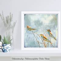BIENENFRESSER Tierbild Vögel auf Holz Leinwand Kunstdruck Wanddeko Landhausstil Vintage Style Shabby Chic günstig kaufen Bild 3