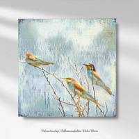 BIENENFRESSER Tierbild Vögel auf Holz Leinwand Kunstdruck Wanddeko Landhausstil Vintage Style Shabby Chic günstig kaufen Bild 4
