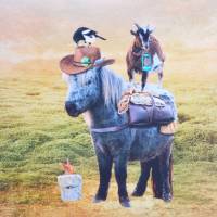 ♕ French Terry Panel mit Pony Ziege Shetlandpony Eichhörnchen 120 x 150 cm ♕ Bild 1