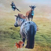 ♕ French Terry Panel mit Pony Ziege Shetlandpony Eichhörnchen 120 x 150 cm ♕ Bild 5