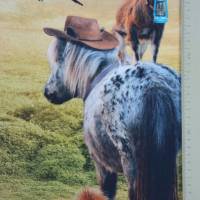 ♕ French Terry Panel mit Pony Ziege Shetlandpony Eichhörnchen 120 x 150 cm ♕ Bild 6
