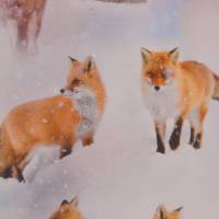 ♕ Jersey mit Fuchs Füchsen im Schnee 50 x 160 cm Nähen Stoff Digitaldruck ♕ Bild 2