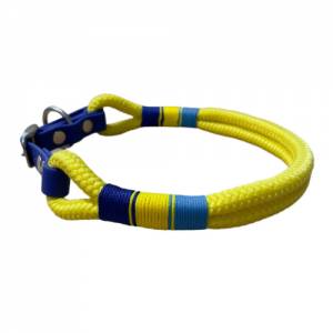 Hundehalsband, Tauhalsband, gelb blau, Marke AlsterStruppi, mit Biothane (US-Patent) und Schnalle verstellbar Bild 1