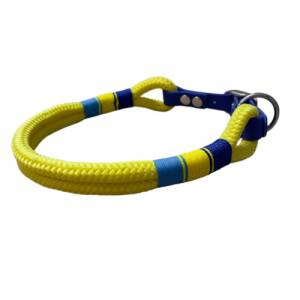 Hundehalsband, Tauhalsband, gelb blau, Marke AlsterStruppi, mit Biothane (US-Patent) und Schnalle verstellbar Bild 4