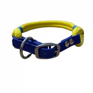 Hundehalsband, Tauhalsband, gelb blau, Marke AlsterStruppi, mit Biothane (US-Patent) und Schnalle verstellbar Bild 5