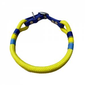 Hundehalsband, Tauhalsband, gelb blau, Marke AlsterStruppi, mit Biothane (US-Patent) und Schnalle verstellbar Bild 6