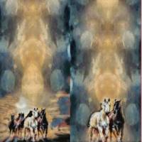 ♕Jersey Panel Pferd in der Herde Stenzo Digitaldruck 200 x 150 cm ♕ Bild 4