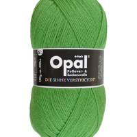 Sockenwolle Opal Uni 6-fach Bild 2