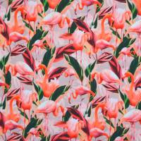 ♕Farbstarker Jersey mit zarten Flamingos Digitaldruck 50 x 150 cm dehnbar Nähen ♕ Bild 2