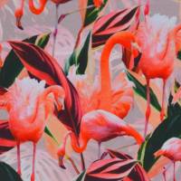 ♕Farbstarker Jersey mit zarten Flamingos Digitaldruck 50 x 150 cm dehnbar Nähen ♕ Bild 3