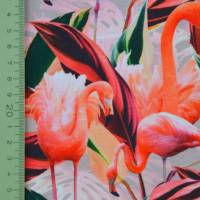 ♕Farbstarker Jersey mit zarten Flamingos Digitaldruck 50 x 150 cm dehnbar Nähen ♕ Bild 4