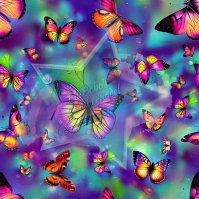 Eigenproduktion Butterfly Dreams