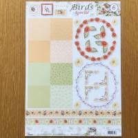 3 D Bastelbogen Vögel zum Gestalten von Glückwunschkarten, 3 verschiedene Motive, DIN A 4 Bogen Bild 2