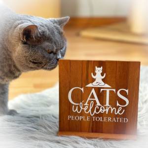 Holzbild Catmom Katzen | Holz Aufsteller Dekoration Bild 1