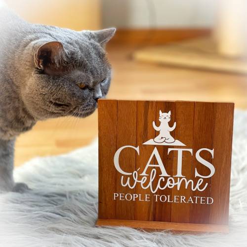Holzbild Catmom Katzen | Holz Aufsteller Dekoration