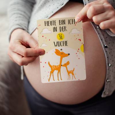 Meilensteinkarten Schwangerschaft und Baby , Fotokarten Set, 2x Drehkarten DIN A5, ideal für Schwangere & Baby Fotos