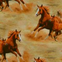 ♕  Jersey mit Pferden Pferde Stute mit Fohlen 50 x 140 cm Nähen Stoff Digitaldruck ♕ Bild 3