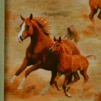 ♕  Jersey mit Pferden Pferde Stute mit Fohlen 50 x 140 cm Nähen Stoff Digitaldruck ♕ Bild 4