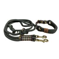 Hundeleine und Halsband Set, beides verstellbar, oliv, braun, gold, Leder und Schnalle, 10 mm Bild 1