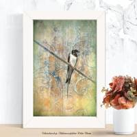 Schwalbe rustikal Zugvögel Vintage Bilder im Landhausstil auf Holz Leinwand Kunstdruck Wanddeko Shabby Chic kaufen Bild 2